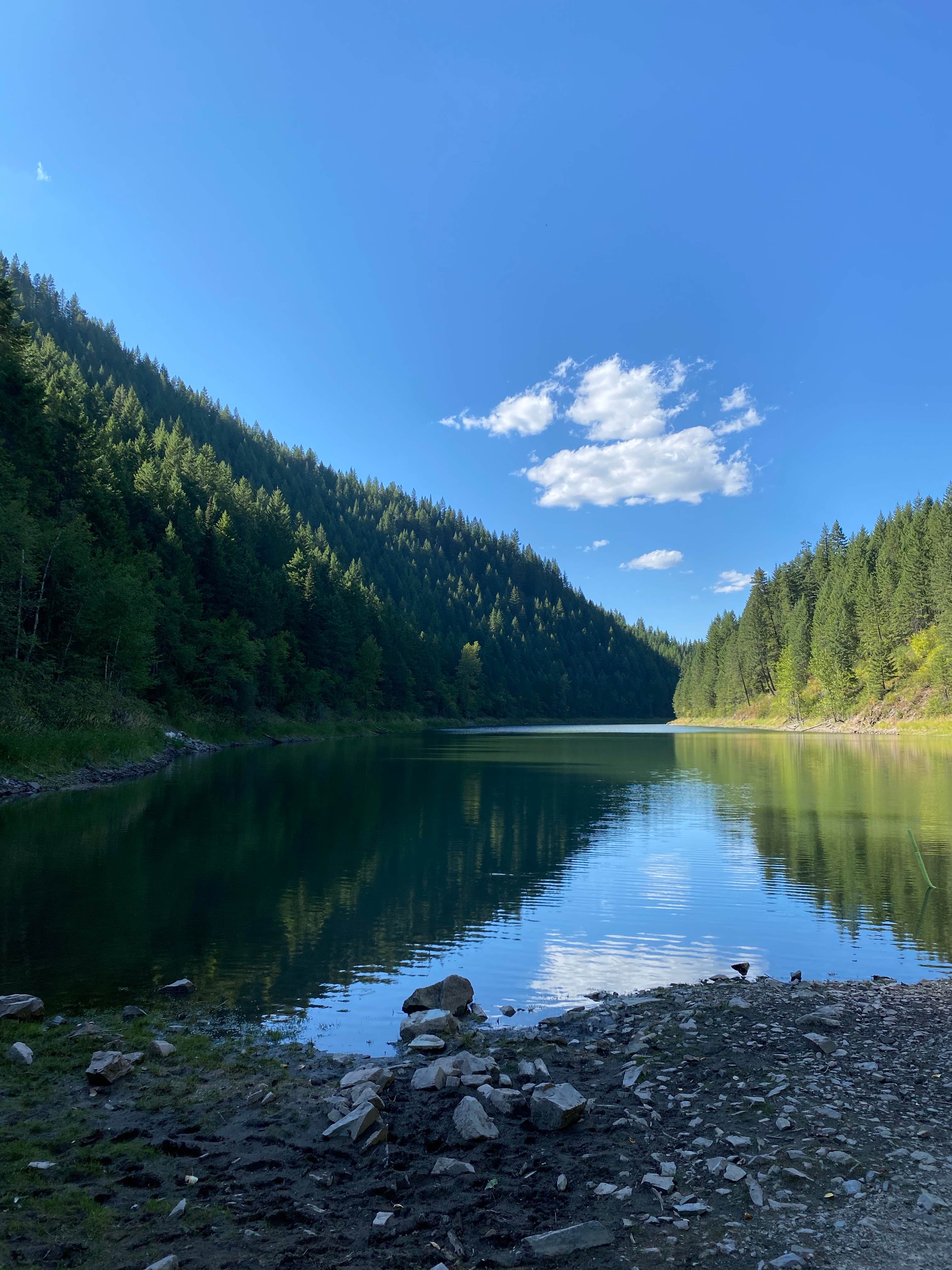 Camper submitted image from Solomon Lake Campsite - 2