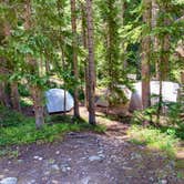 Review photo of Lincoln Creek Dispersed Campground by Sean F., August 27, 2020