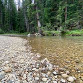 Review photo of Lincoln Creek Dispersed Campground by Sean F., August 27, 2020
