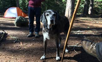 Reid B.'s photo at Bear Springs Campground near Maupin, OR