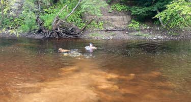 Spruce Creek Campground