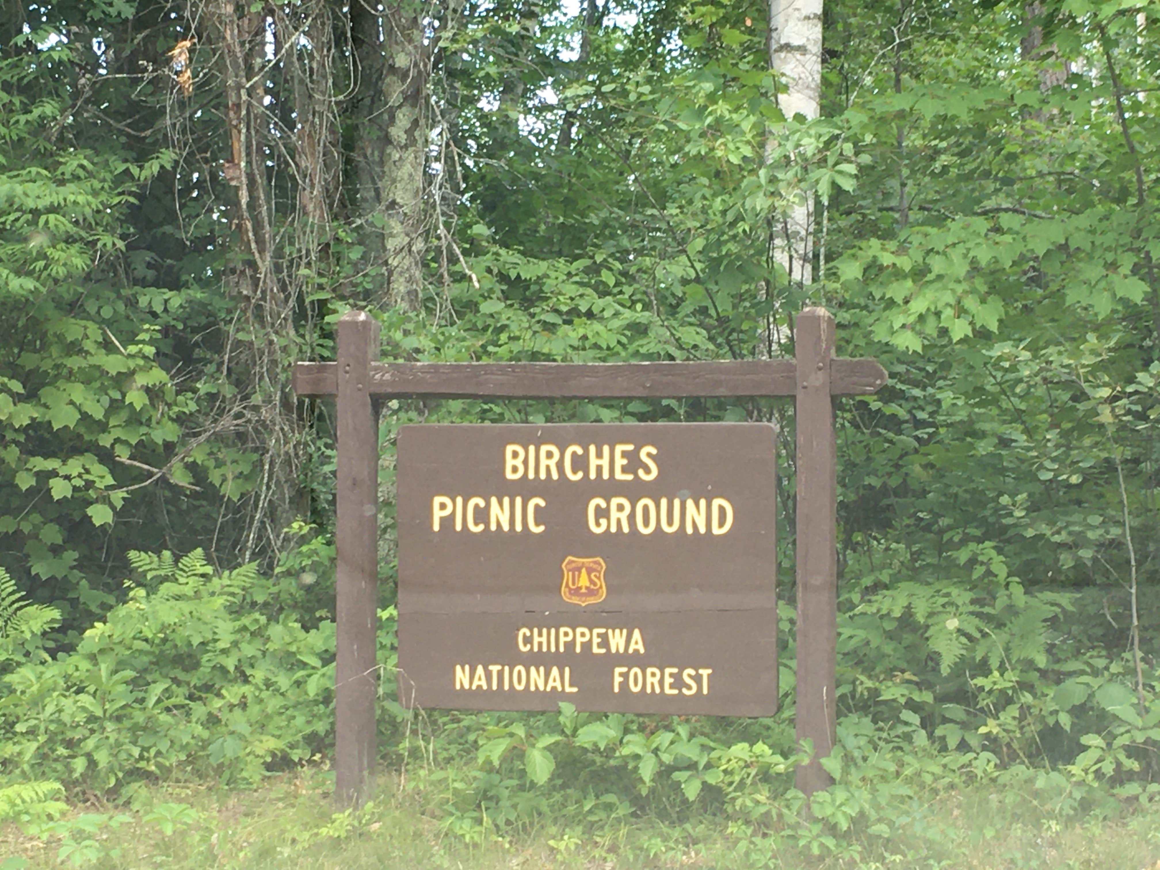 Camper submitted image from Birches Landing on Lake Winni - 4