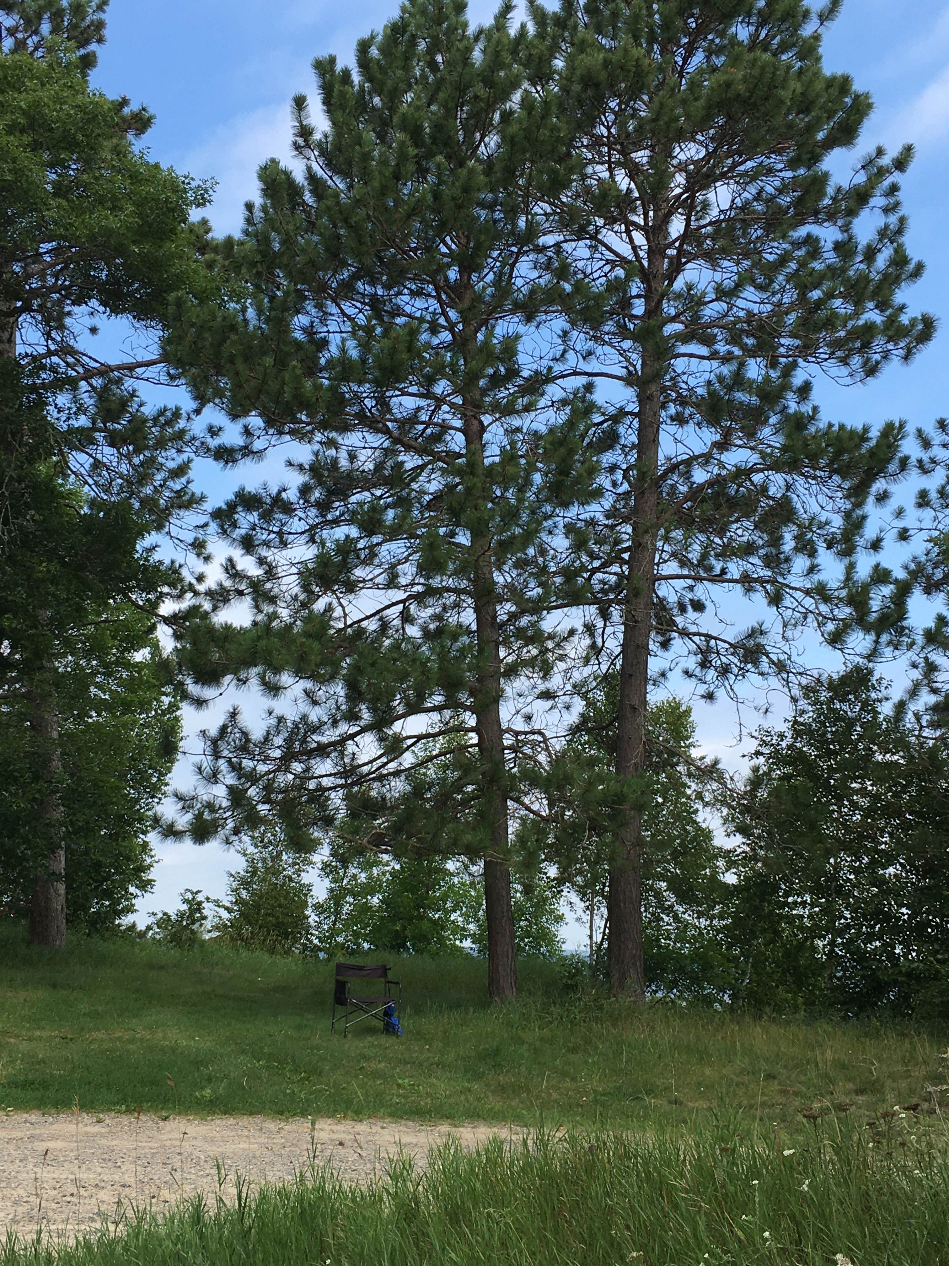 Camper-submitted photo at Birches Landing on Lake Winni near Blackduck, MN