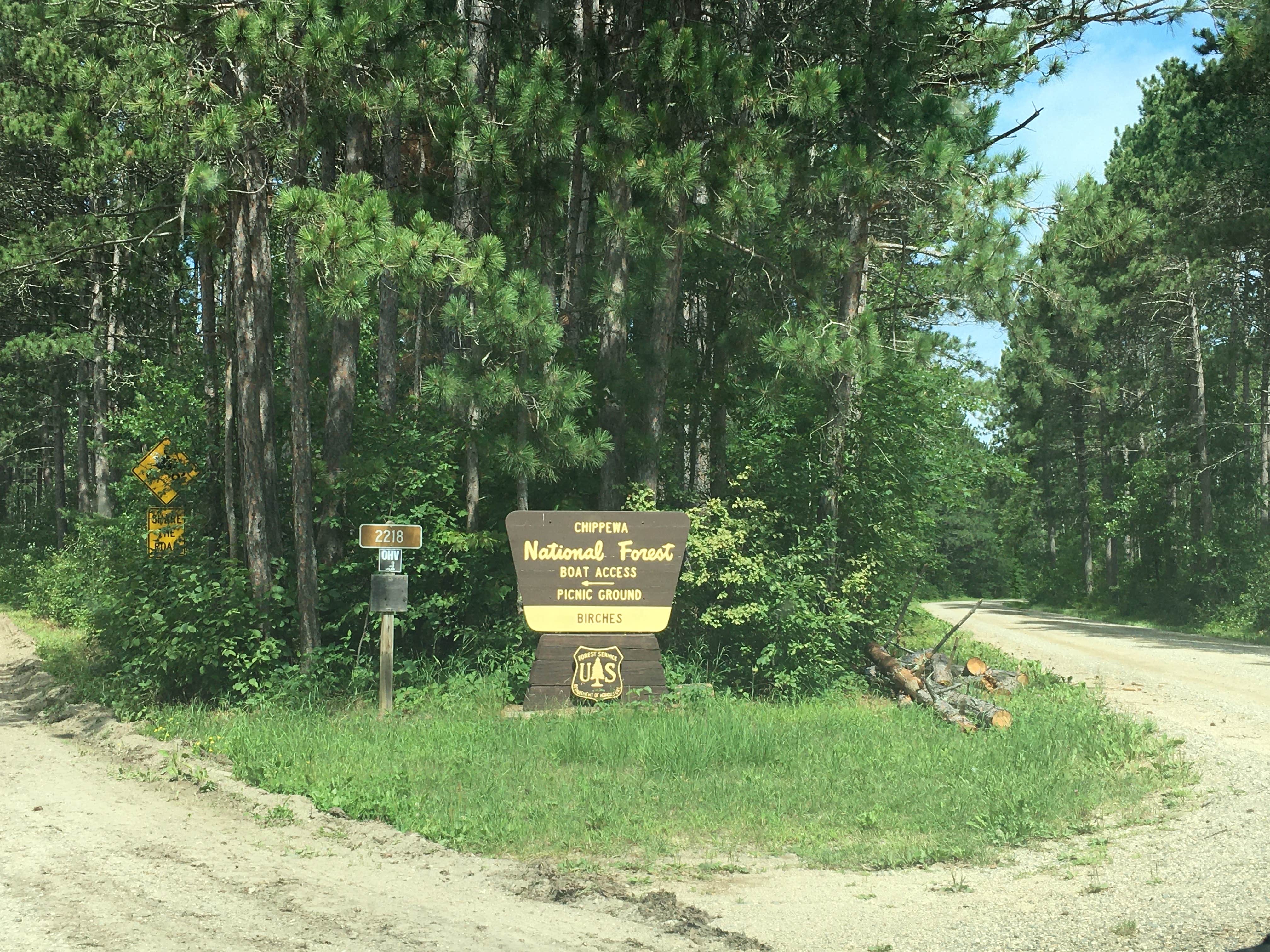 Birches Landing on Lake Winni Chippewa National Forest MN