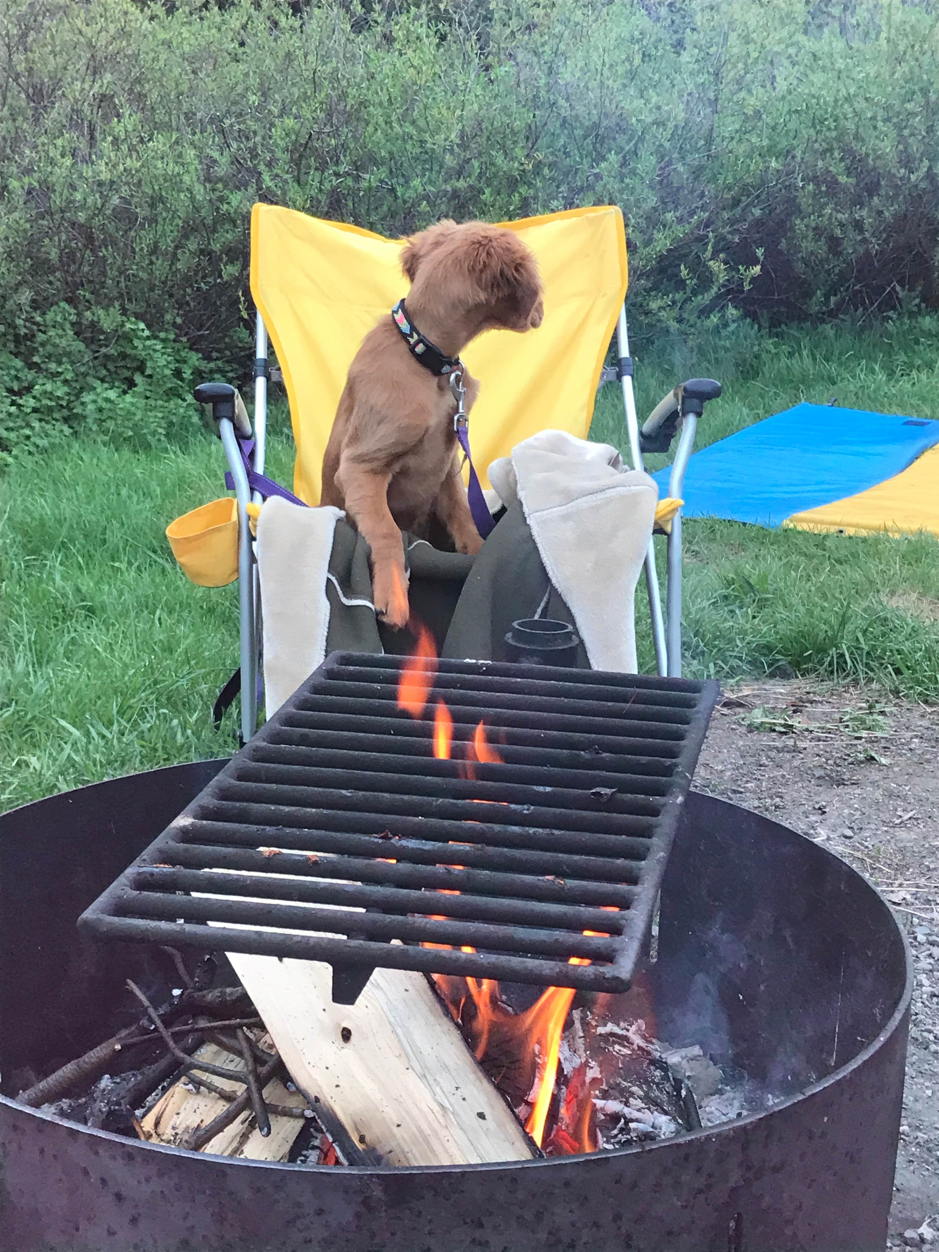 Amy S.'s photo at Langohr Campground near Bozeman, MT