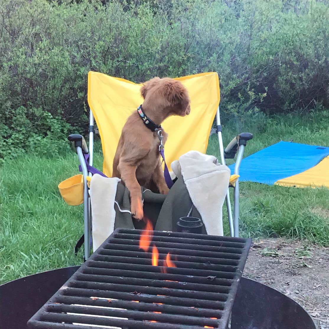 Langohr Campground | Bozeman, MT