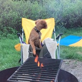 puppy by the fire pit.