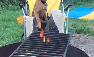 Amy S.'s photo at Langohr Campground near Belgrade, MT