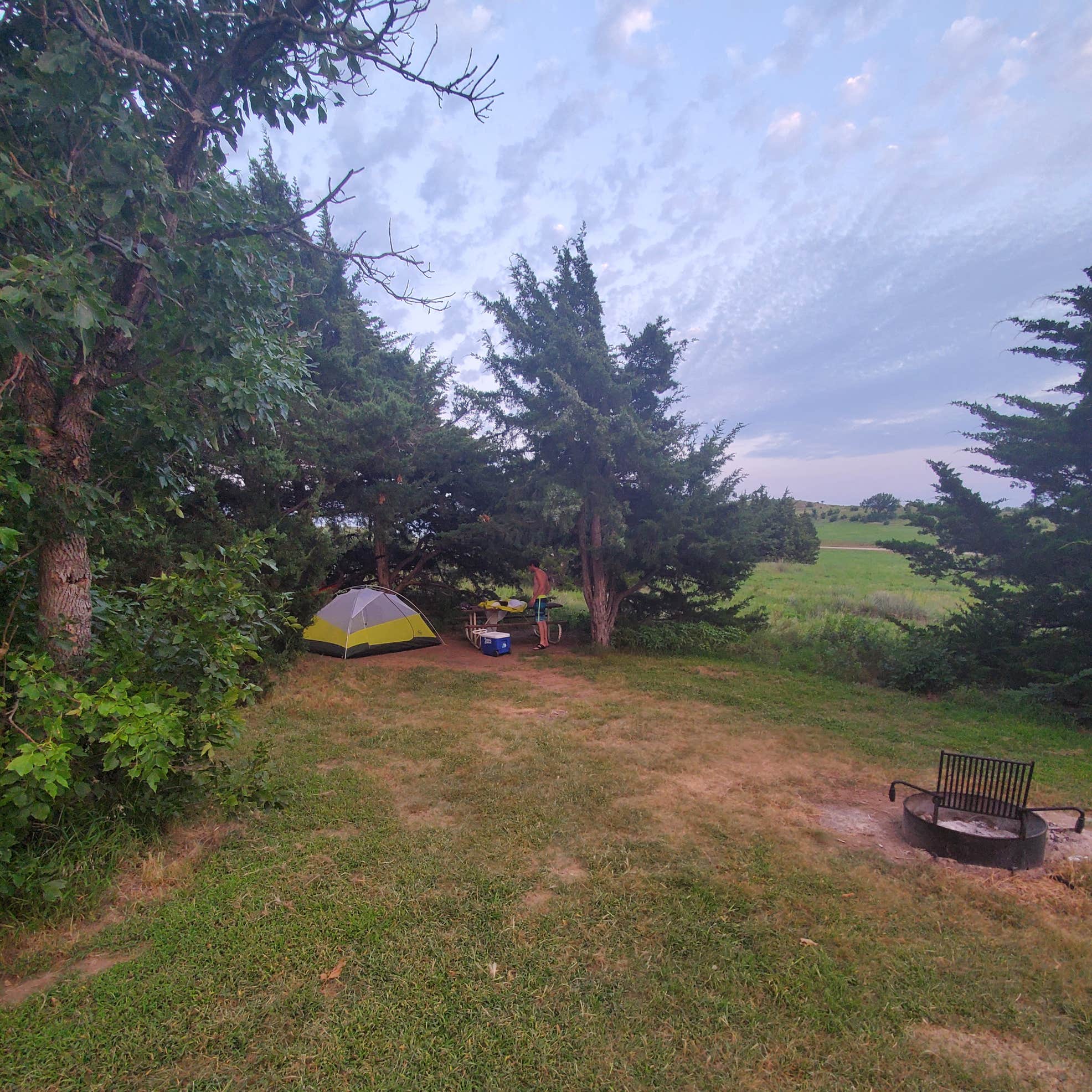 Buffalo Grass — Wilson State Park Camping | Sylvan Grove, KS