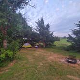 Review photo of Buffalo Grass — Wilson State Park by Steve P., August 27, 2020