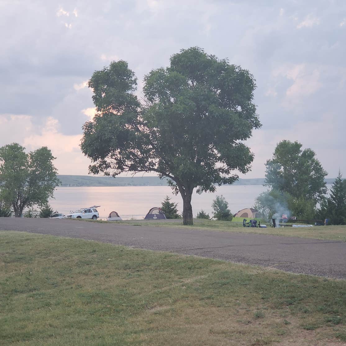 Buffalo Grass — Wilson State Park Camping | Sylvan Grove, KS