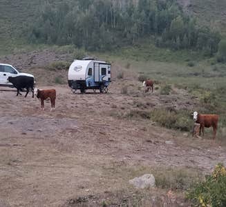 Camper-submitted photo from Slate River Road Designated Dispersed