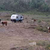 Review photo of Slate River Road Designated Dispersed - CLOSED by Steve P., August 27, 2020