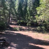 Review photo of Middle Fork Cosumnes Campground by Linda Y., August 27, 2020