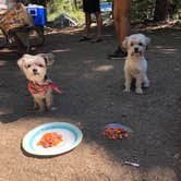 Review photo of Middle Fork Cosumnes Campground by Linda Y., August 27, 2020