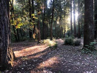 Camper-submitted photo at Dunlap Campground near Albion, CA