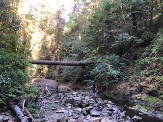 Camper-submitted photo at Dunlap Campground near Albion, CA