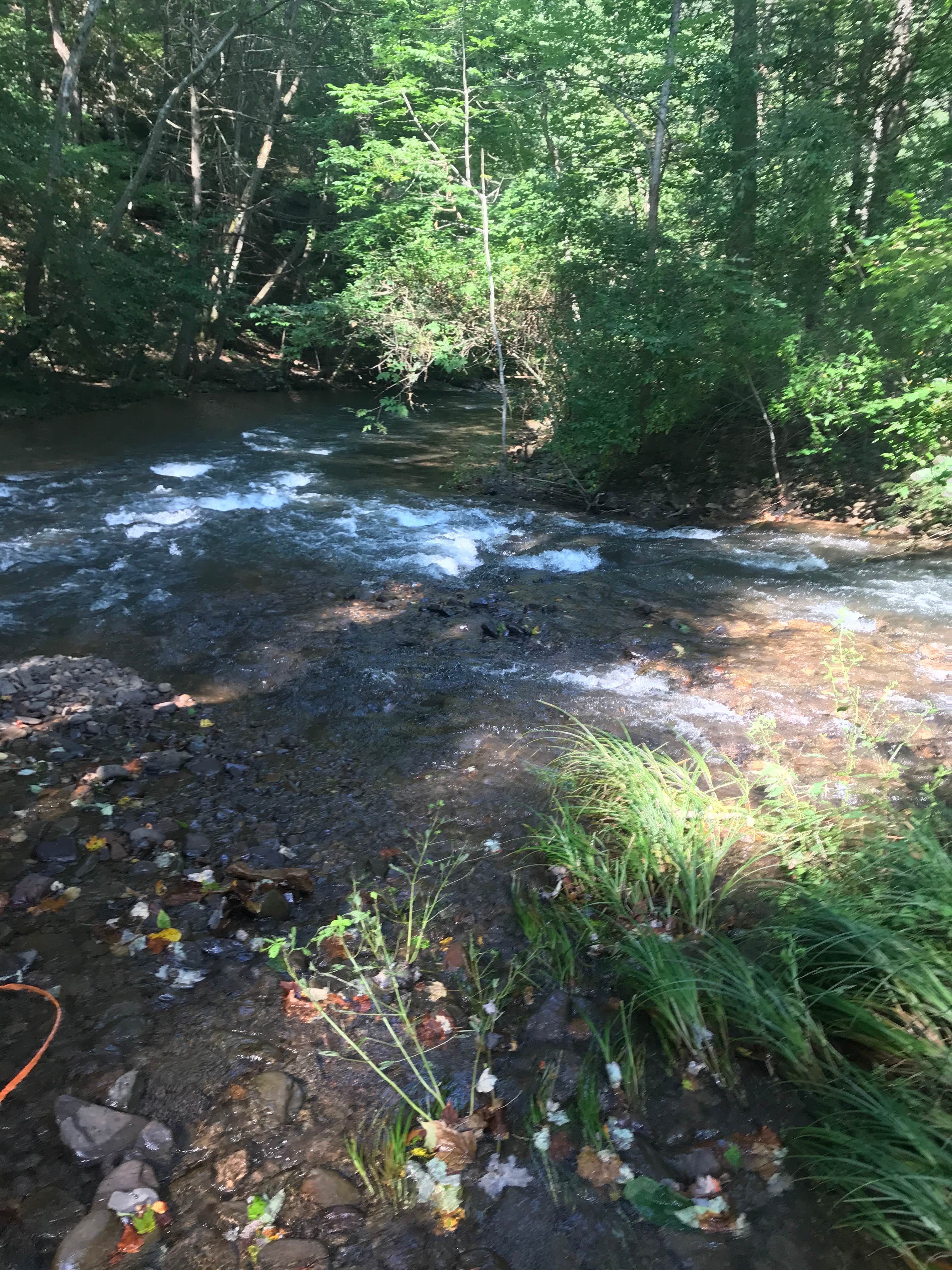 Camper-submitted photo at North River Campground near Augusta Springs, VA