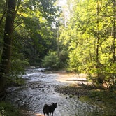 Review photo of North River Campground by Thomas R., August 27, 2020