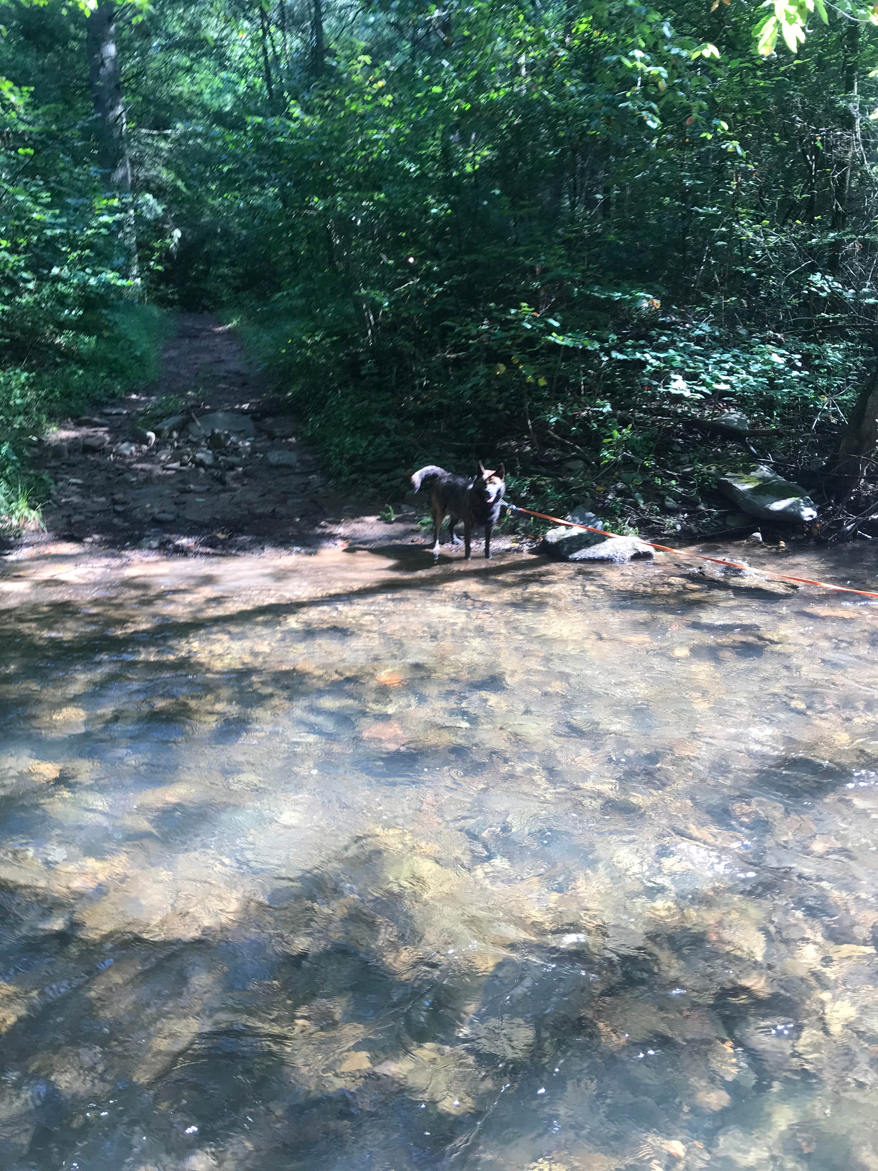 Camping near Natural Chimneys Regional Park: North River Campground, Mount Solon, Virginia