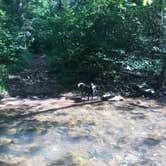 Review photo of North River Campground by Thomas R., August 27, 2020