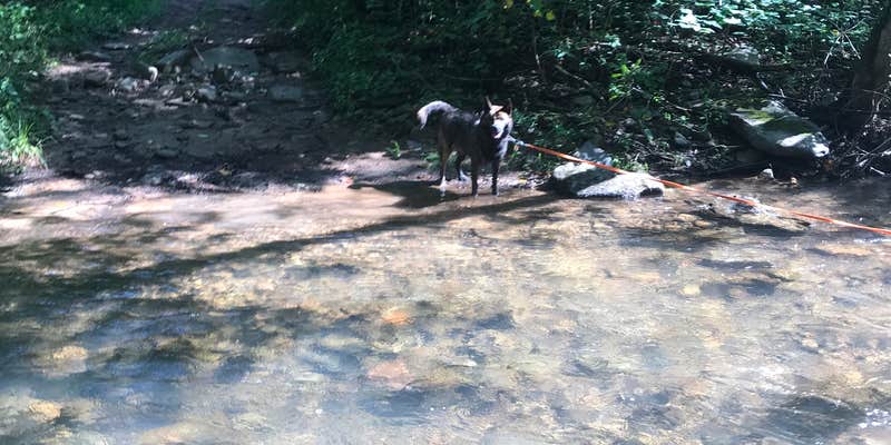 Camper submitted image from North River Campground