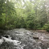 Review photo of North River Campground by Thomas R., August 27, 2020