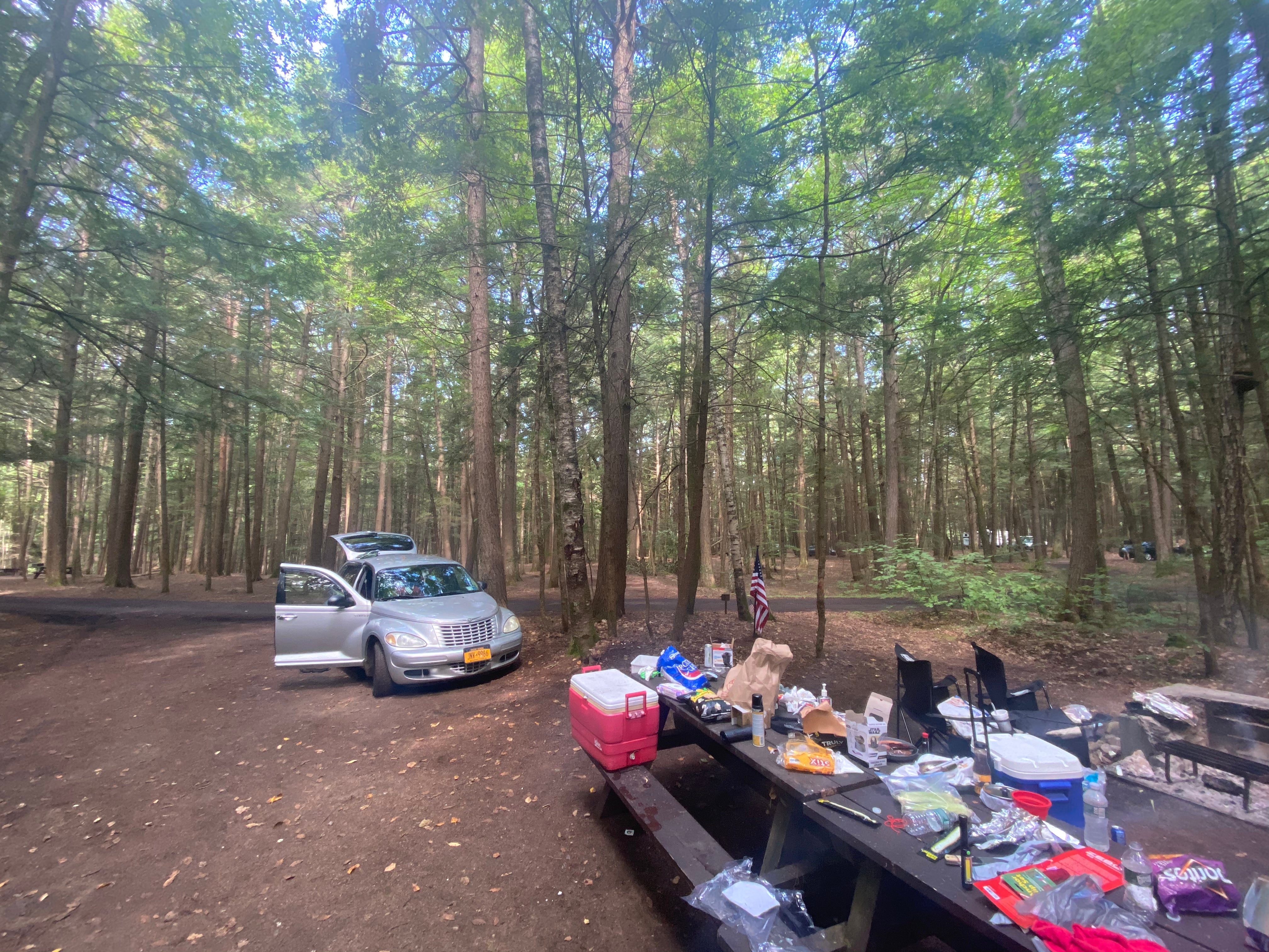 Camper submitted image from Luzerne Campground - 5