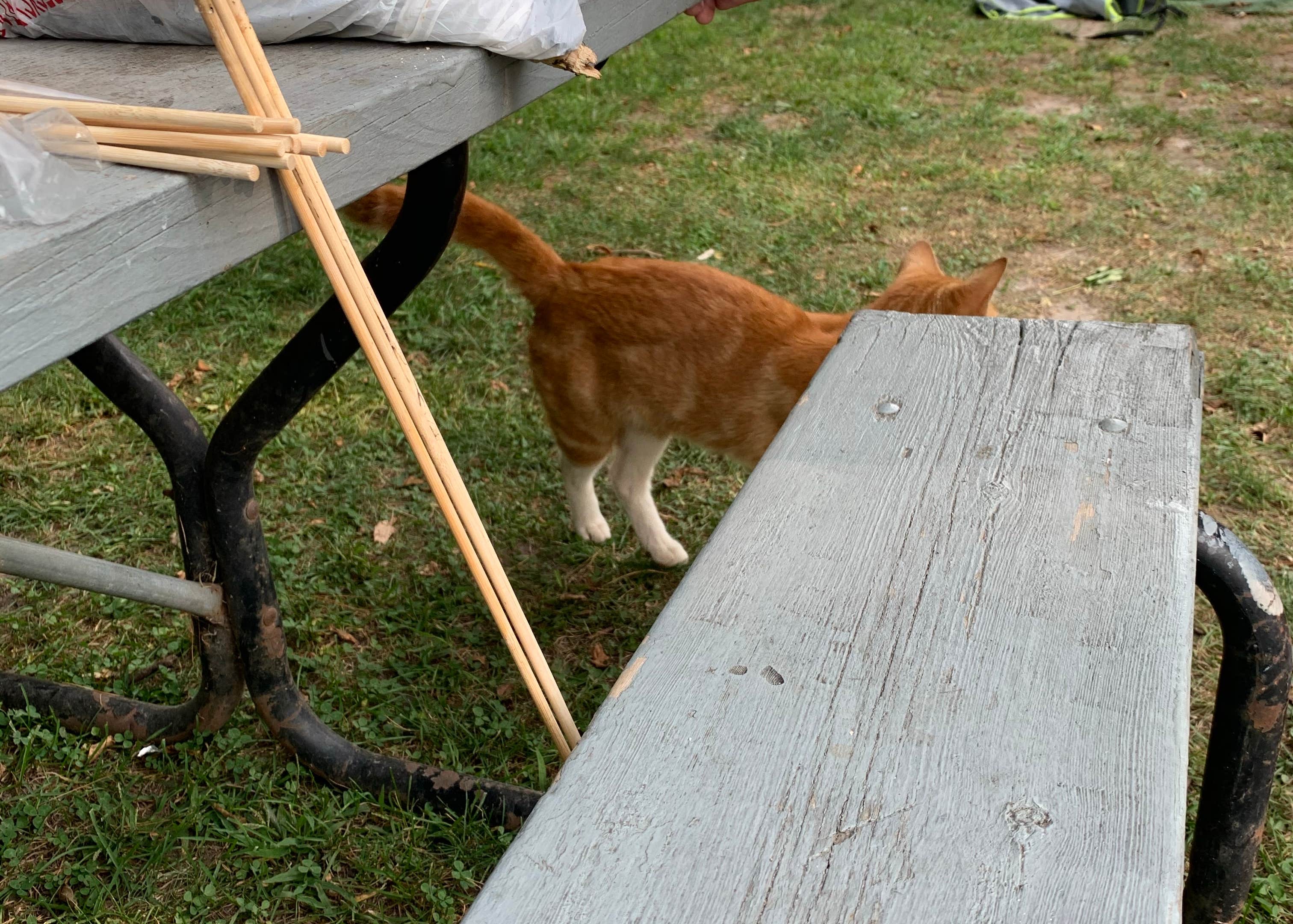 Sweet Minnihaha Campground Camping Brodhead, WI The Dyrt