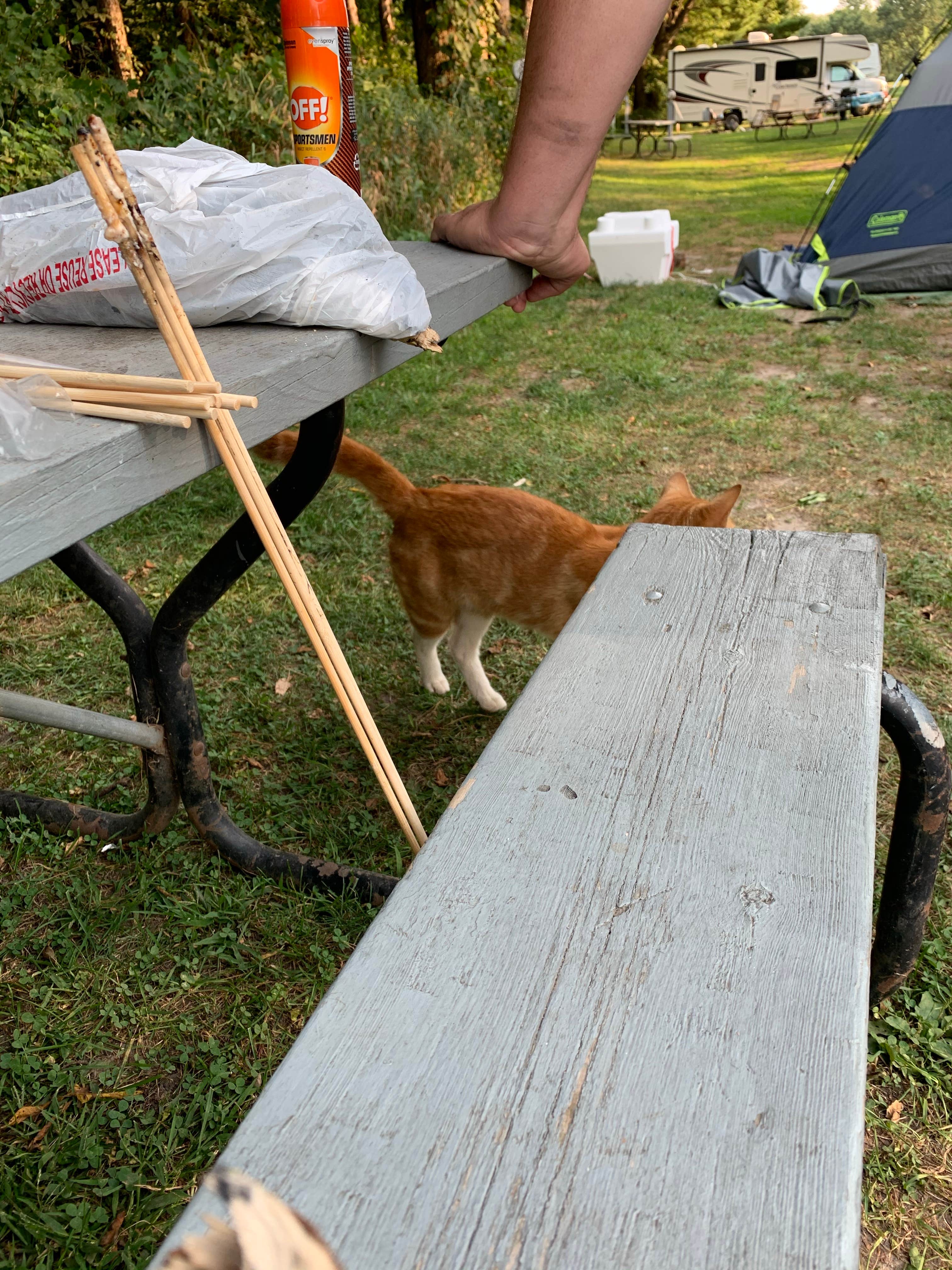 Camping near Crazy Horse Campground: Sweet Minnihaha Campground, Evansville, Wisconsin