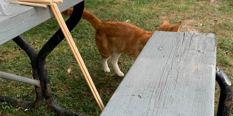 Camper submitted image from Sweet Minnihaha Campground