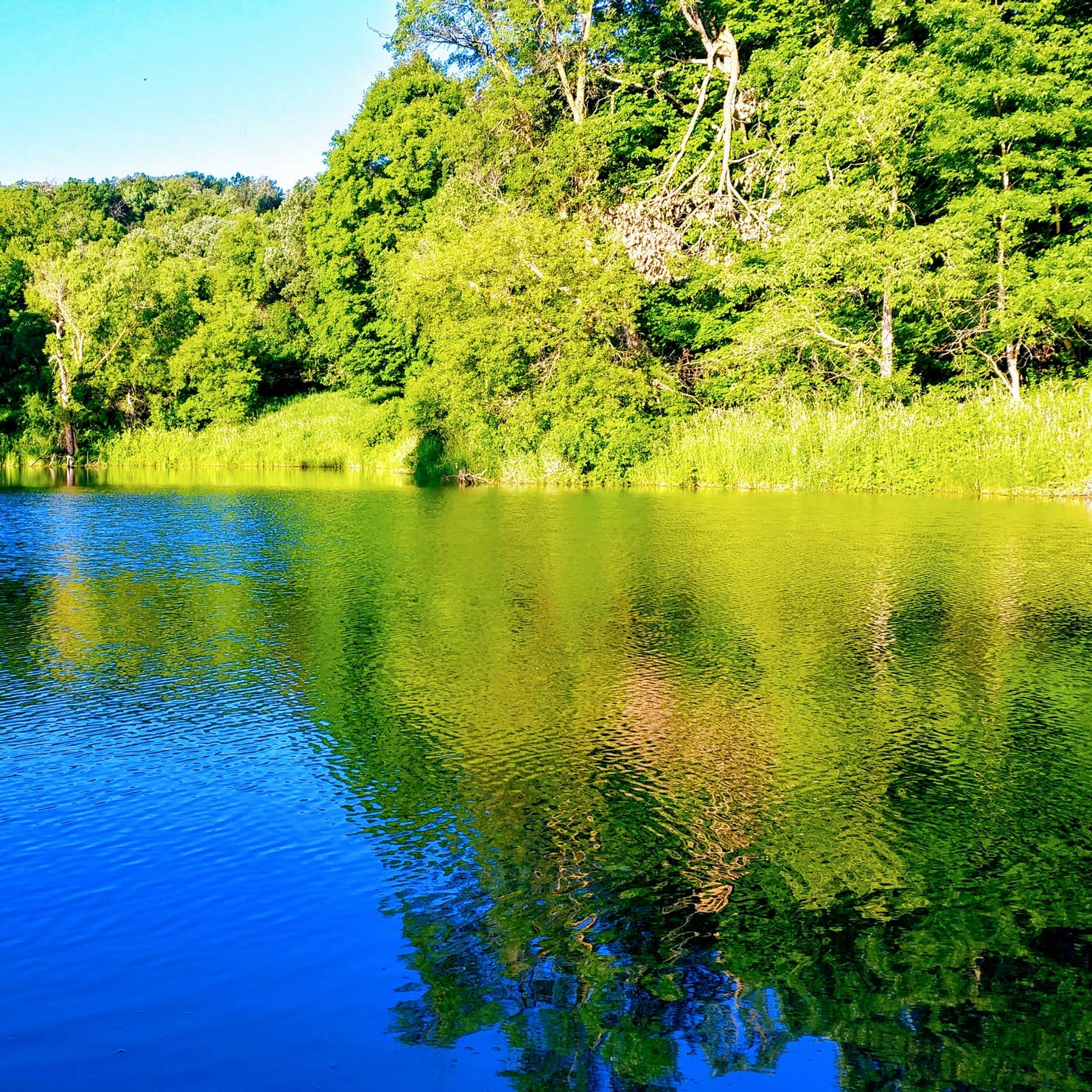 Camden State Park Campground | Lynd, Minnesota