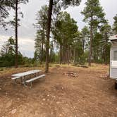 Review photo of Colcord Ridge Campground by Zachary C., August 27, 2020