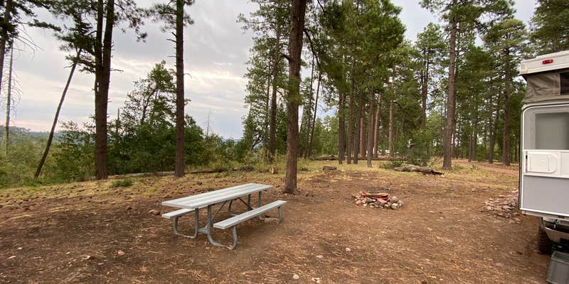 Camper submitted image from Colcord Ridge Campground