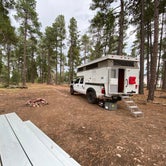 Review photo of Colcord Ridge Campground by Zachary C., August 27, 2020
