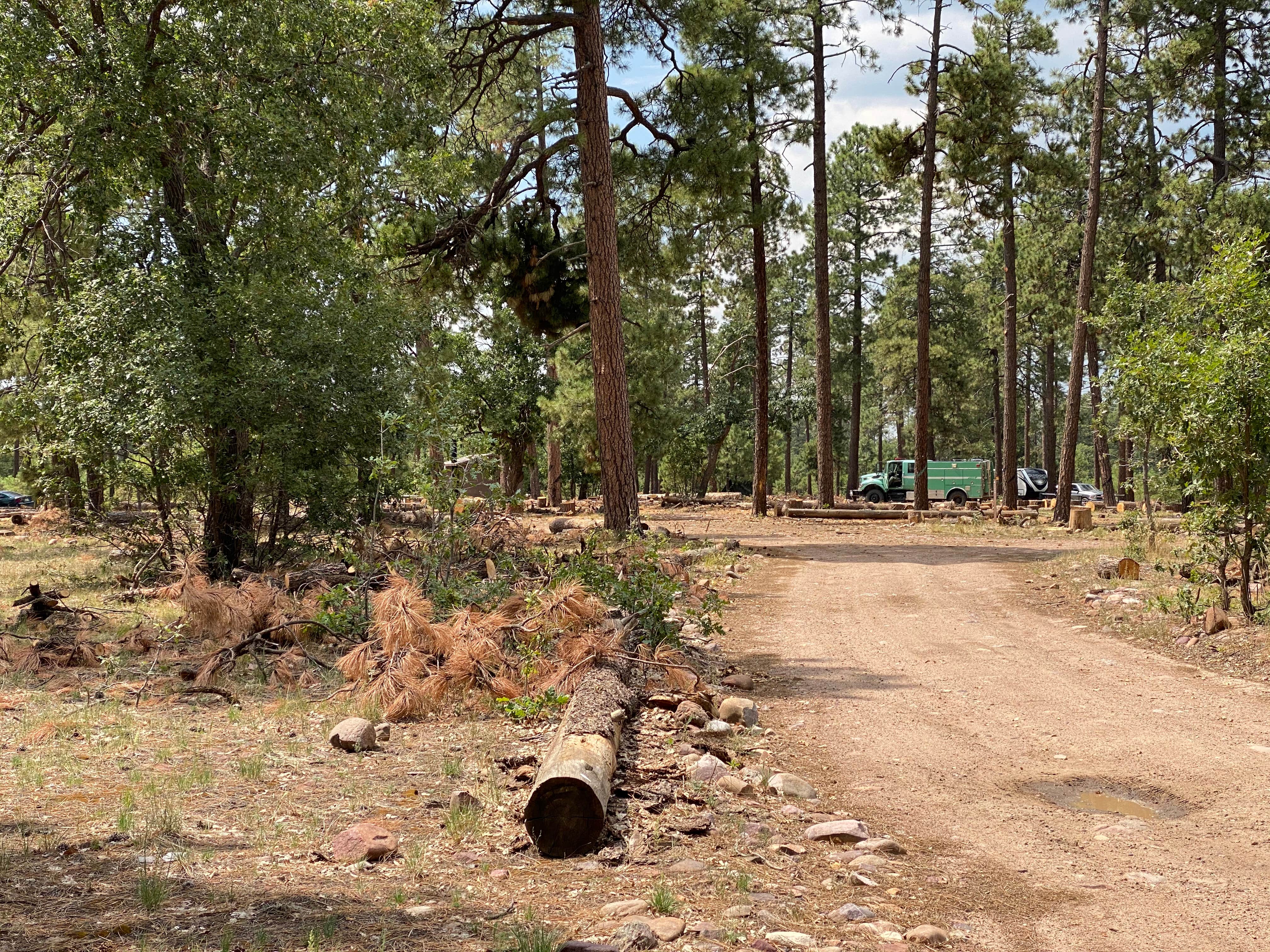 Camper submitted image from Colcord Ridge Campground - 2