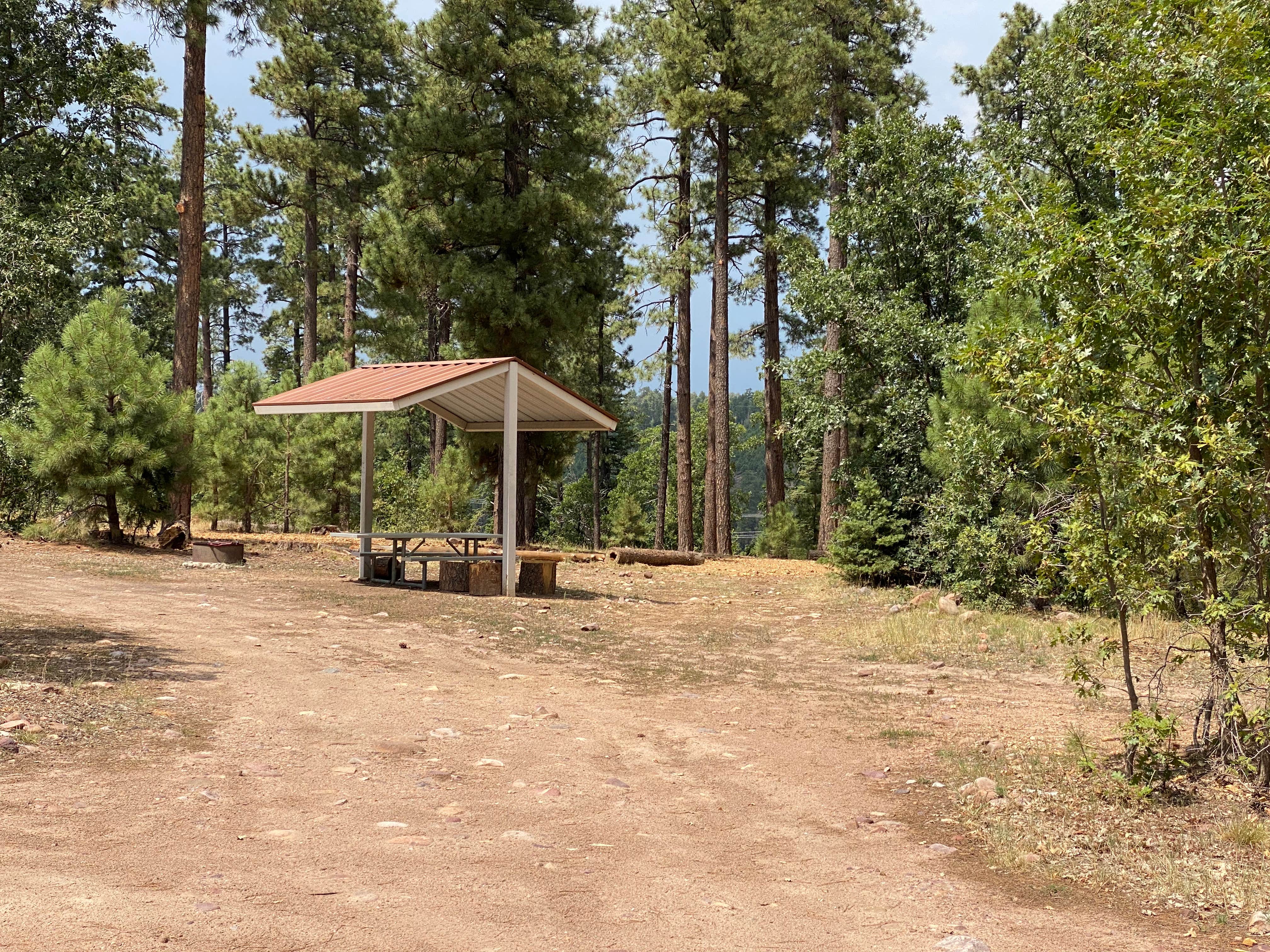 Camper-submitted photo at Colcord Ridge Campground near Kohls Ranch, AZ