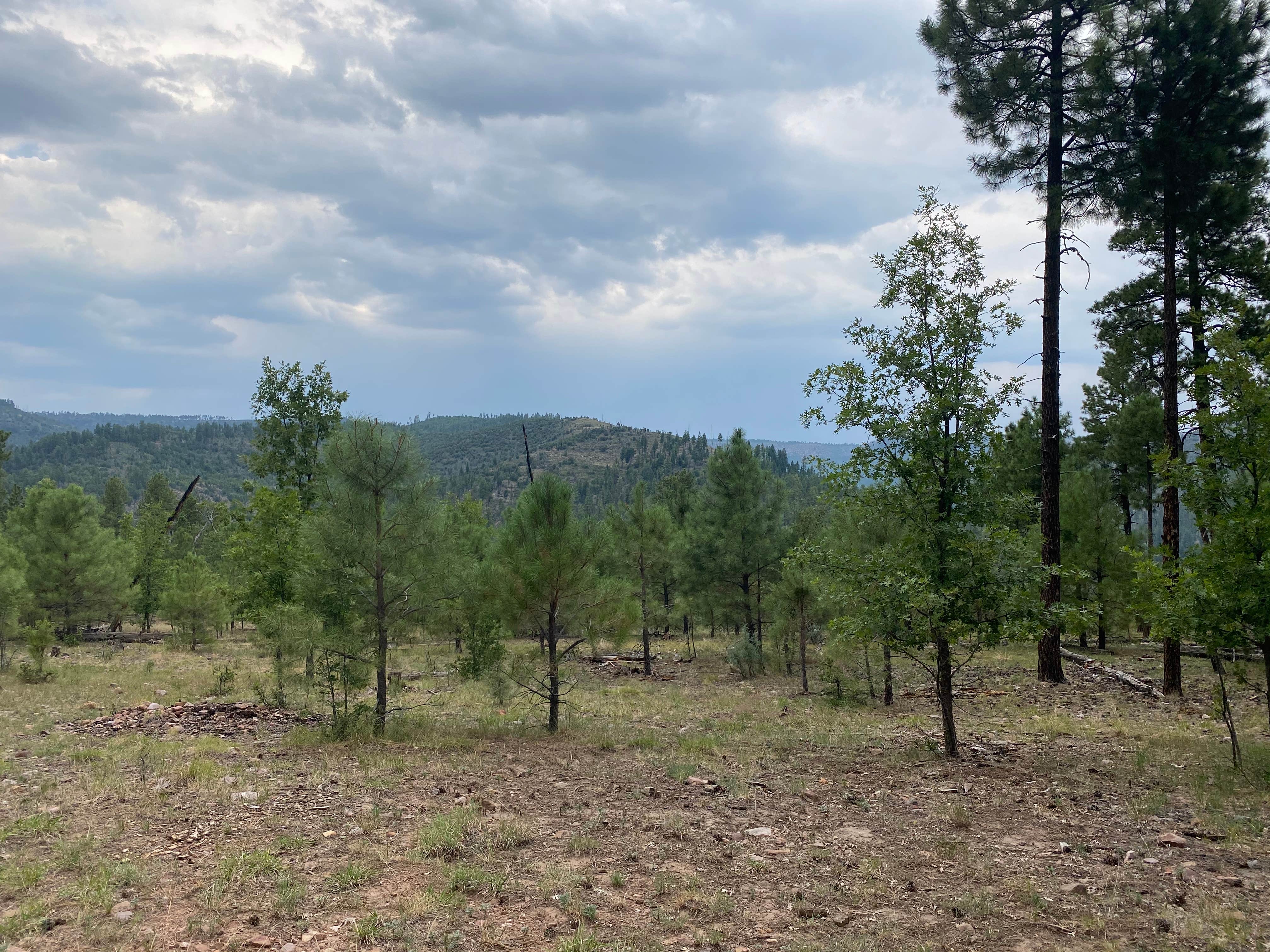 Camper-submitted photo at Valentine Ridge Campground near Young, AZ