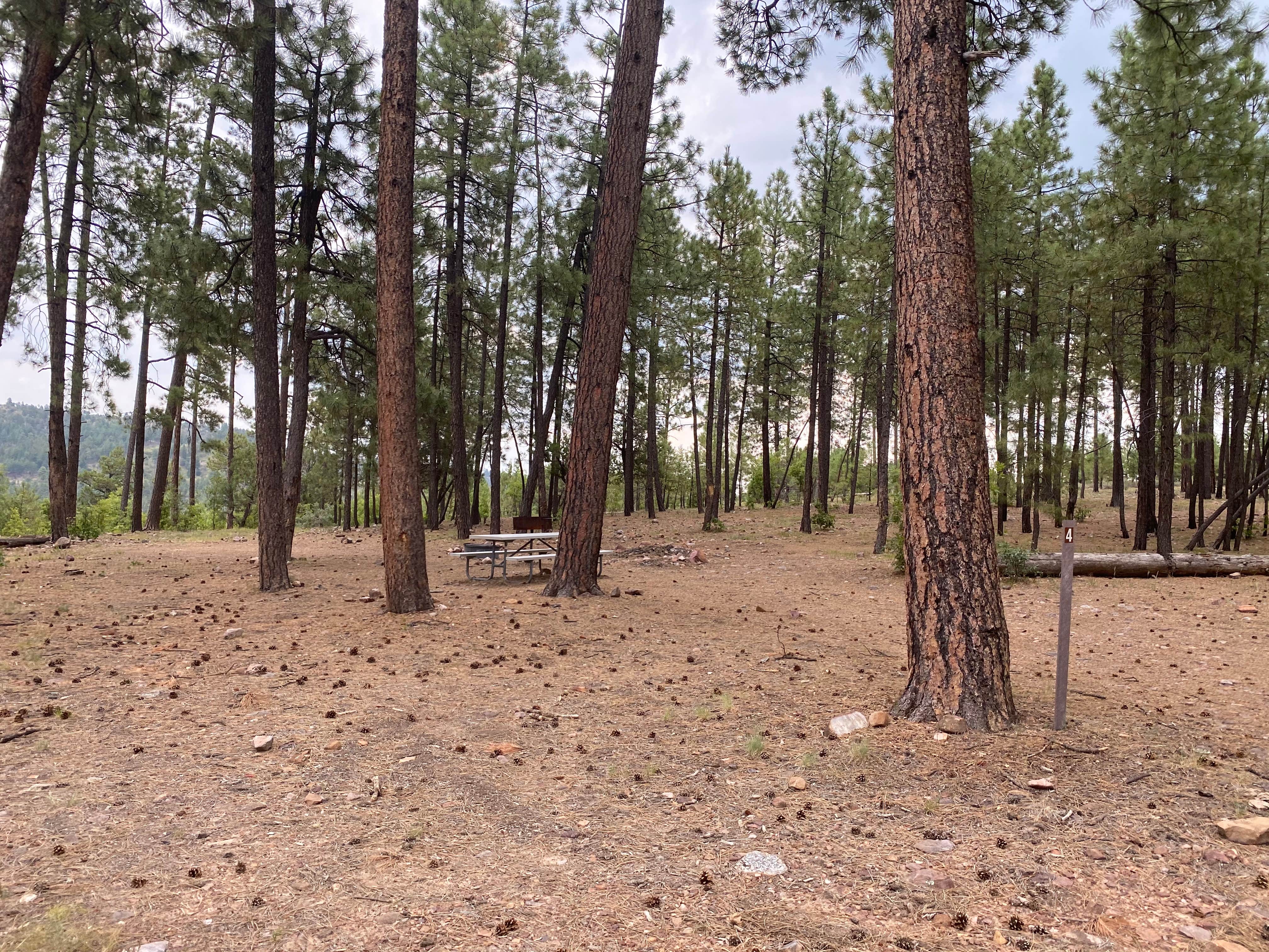 Camper-submitted photo at Valentine Ridge Campground near Young, AZ