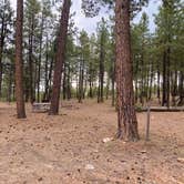 Review photo of Valentine Ridge Campground by Zachary C., August 27, 2020