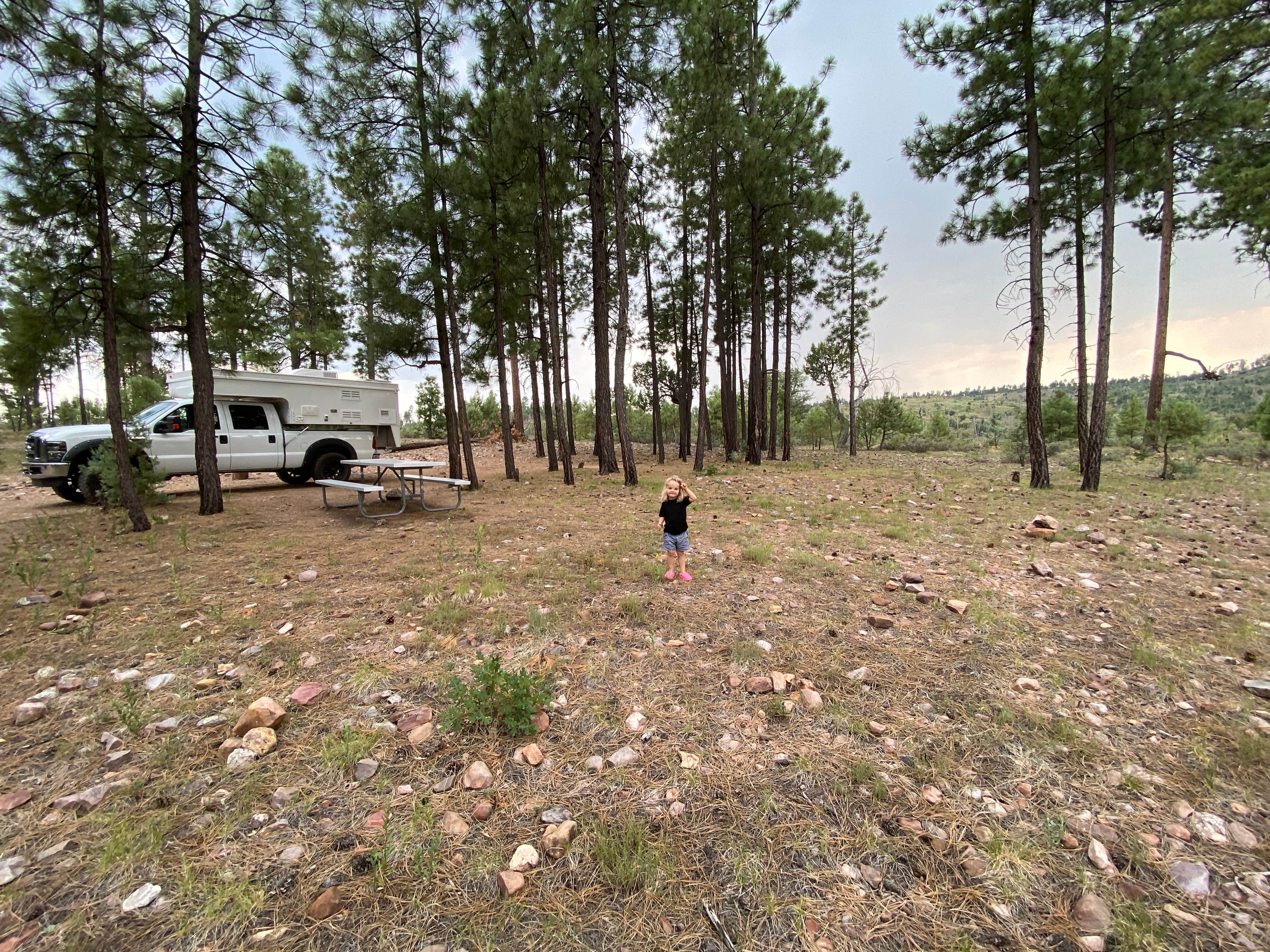 Camper-submitted photo at Valentine Ridge Campground near Young, AZ