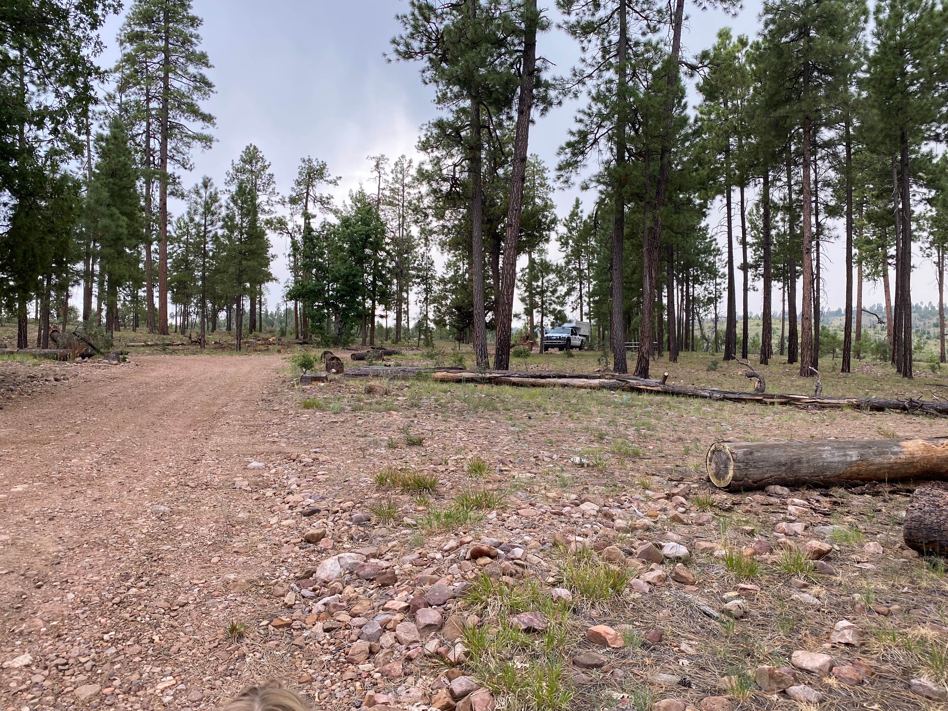 Camper-submitted photo at Valentine Ridge Campground near Young, AZ