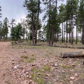 Review photo of Valentine Ridge Campground by Zachary C., August 27, 2020
