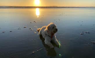 Karen L.'s photo of camping with pets at Beverly Beach State Park Campground near Newport, OR