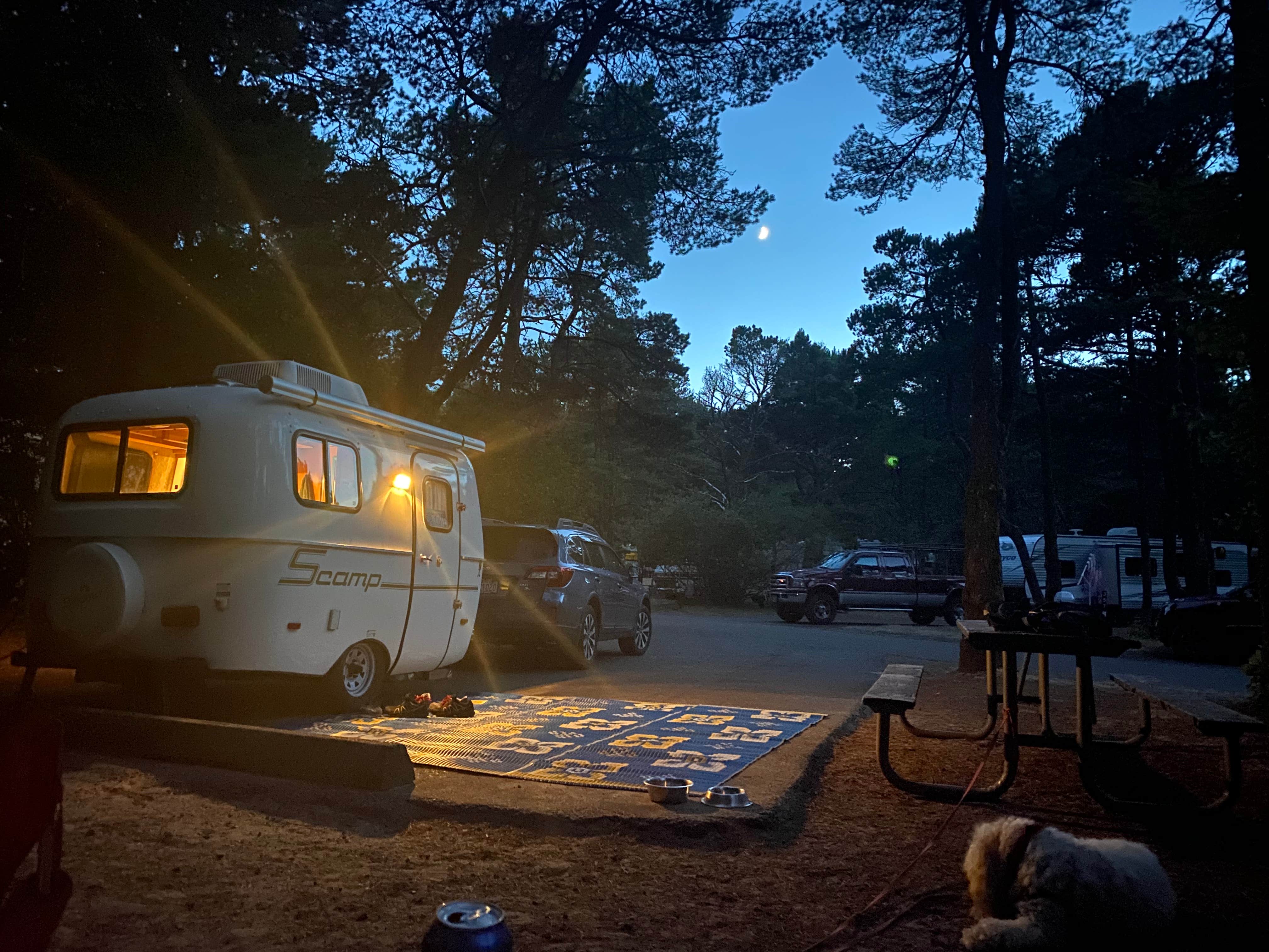 Karen L.'s photo of camping with pets at Jessie M. Honeyman Memorial State Park Campground near Siuslaw National Forest