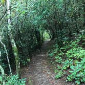 Review photo of Elkmont Campground — Great Smoky Mountains National Park by Kenny P., August 27, 2020