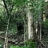 Review photo of Elkmont Campground — Great Smoky Mountains National Park by Kenny P., August 27, 2020