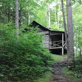 Review photo of Elkmont Campground — Great Smoky Mountains National Park by Kenny P., August 27, 2020
