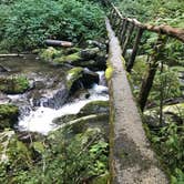 Review photo of Elkmont Campground — Great Smoky Mountains National Park by Kenny P., August 27, 2020