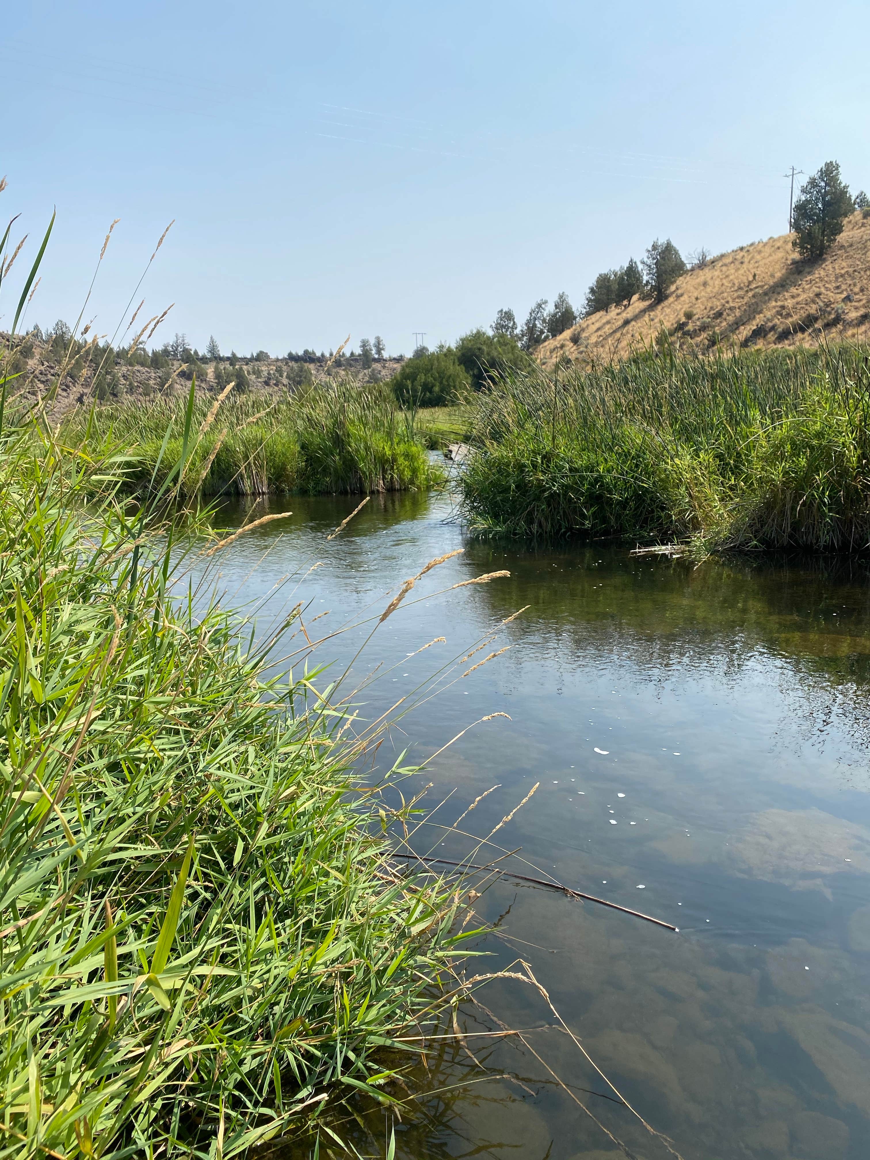 Camper-submitted photo at Crooked River Ranch near Redmond, OR